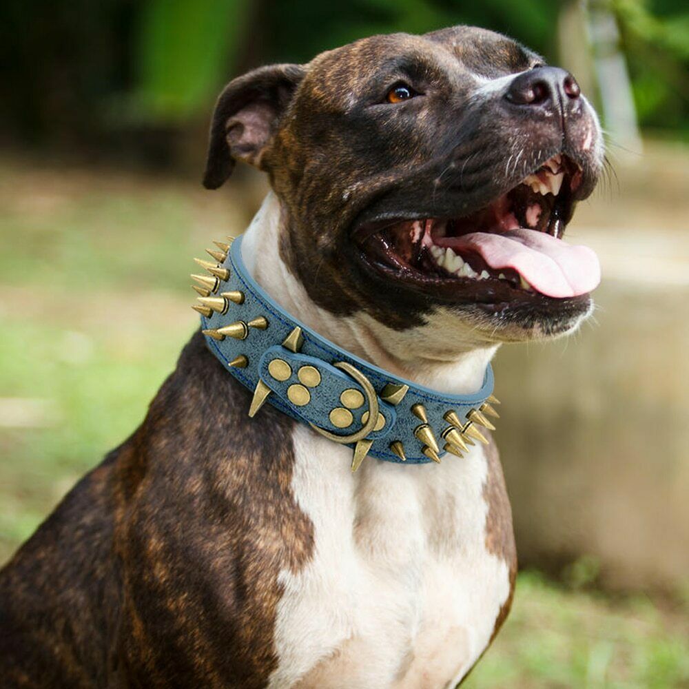 Halskette für Hunde mit Leopardenmuster – Bild 4 | LuxeStyle