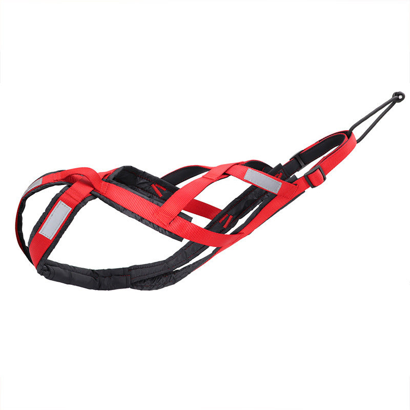 Hundegeschirr für Outdoor-Aktivitäten – Bild 2 | LuxeStyle