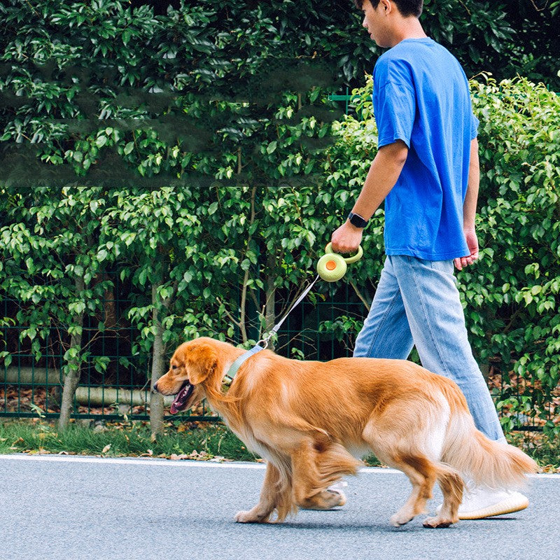 Hunde-Rollleine mit Reflektor | LuxeStyle