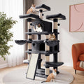 Katzenkletterwand Hoch