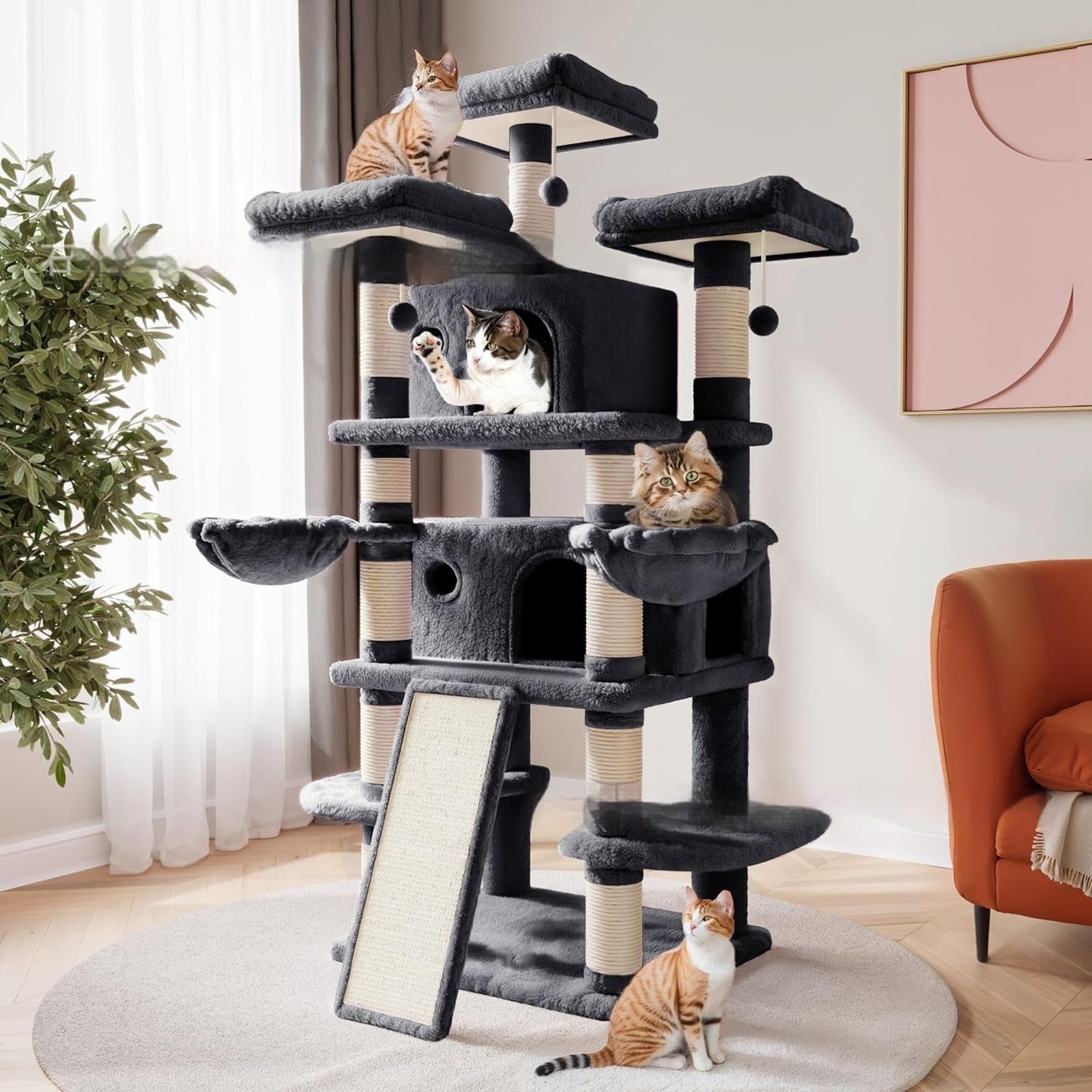 Katzenkletterwand Hoch