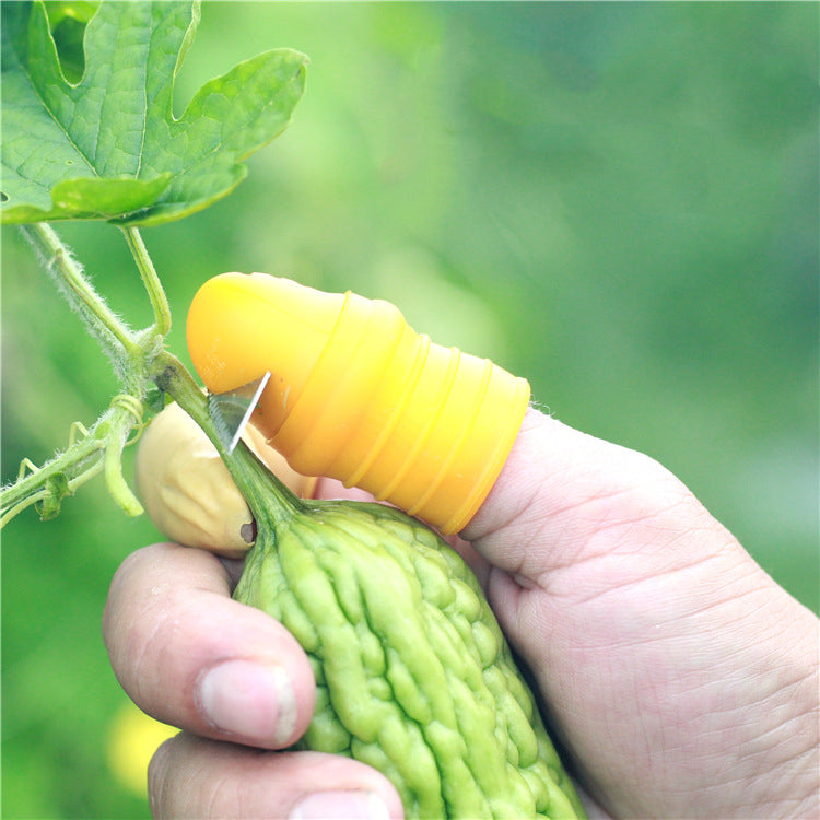 Daumensäge zum Ernten | LuxeStyle