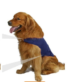 Beruhigende Hunde-Bekleidung für Trennungsangst