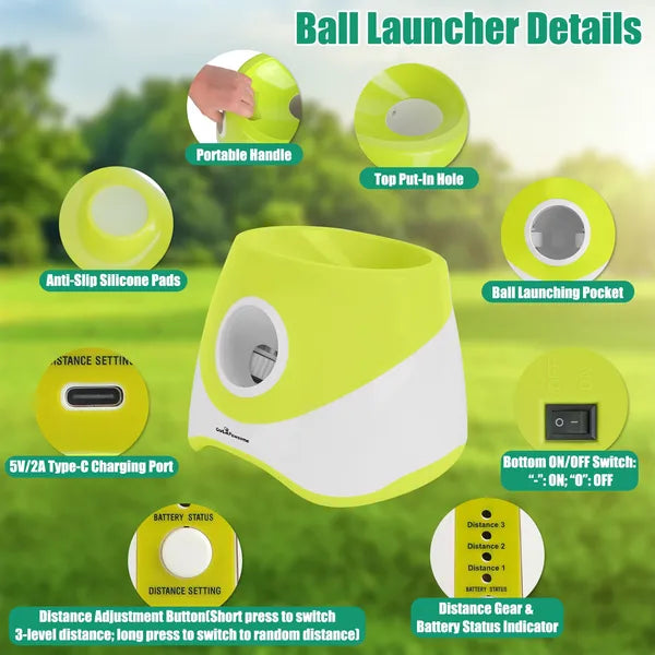 Automatischer Ballwerfer für Hunde