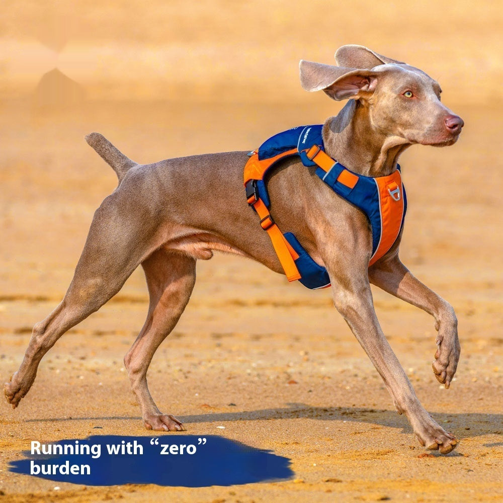 Hunde-Brustgeschirr im Weste-Stil – Bild 5 | LuxeStyle