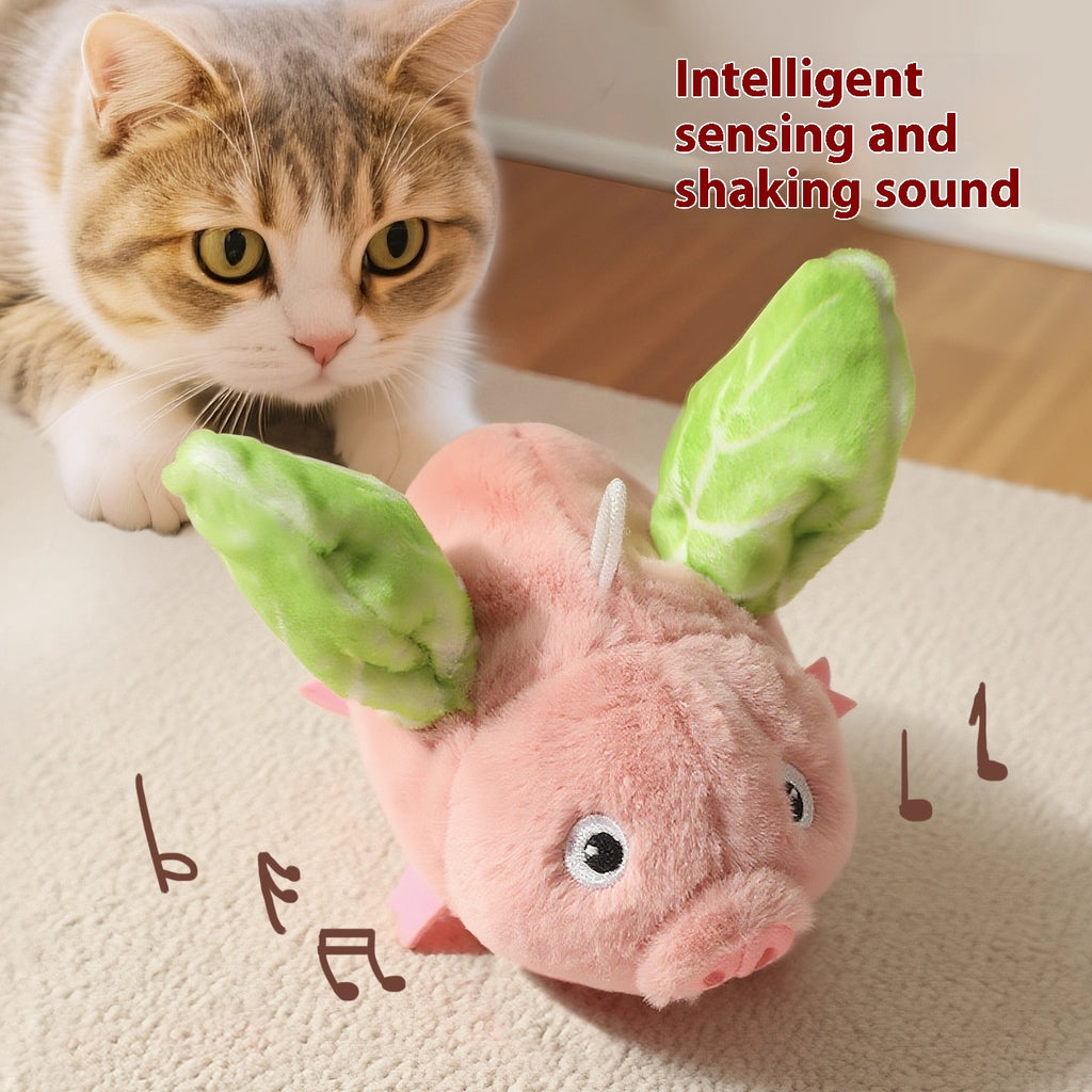 Elektrisches Schwein Katzen-Spielzeug mit Sound
