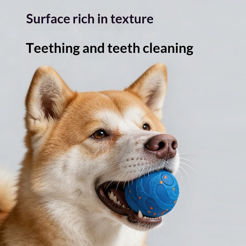 Automatischer Teaser-Ball für Hunde