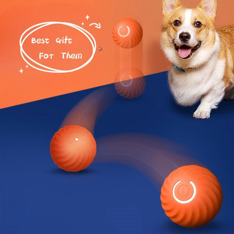 Hunde-Gummiball: Robustes Kauspielzeug für Welpen