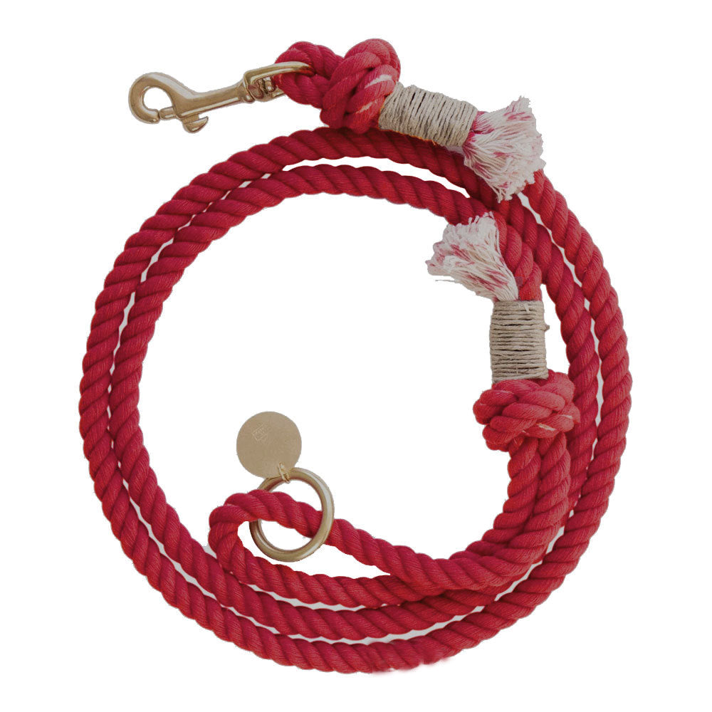 Geflochtene Hundeleine – Bild 8 | LuxeStyle