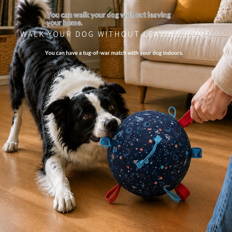 Aufblasbarer Hunde-Herding-Ball
