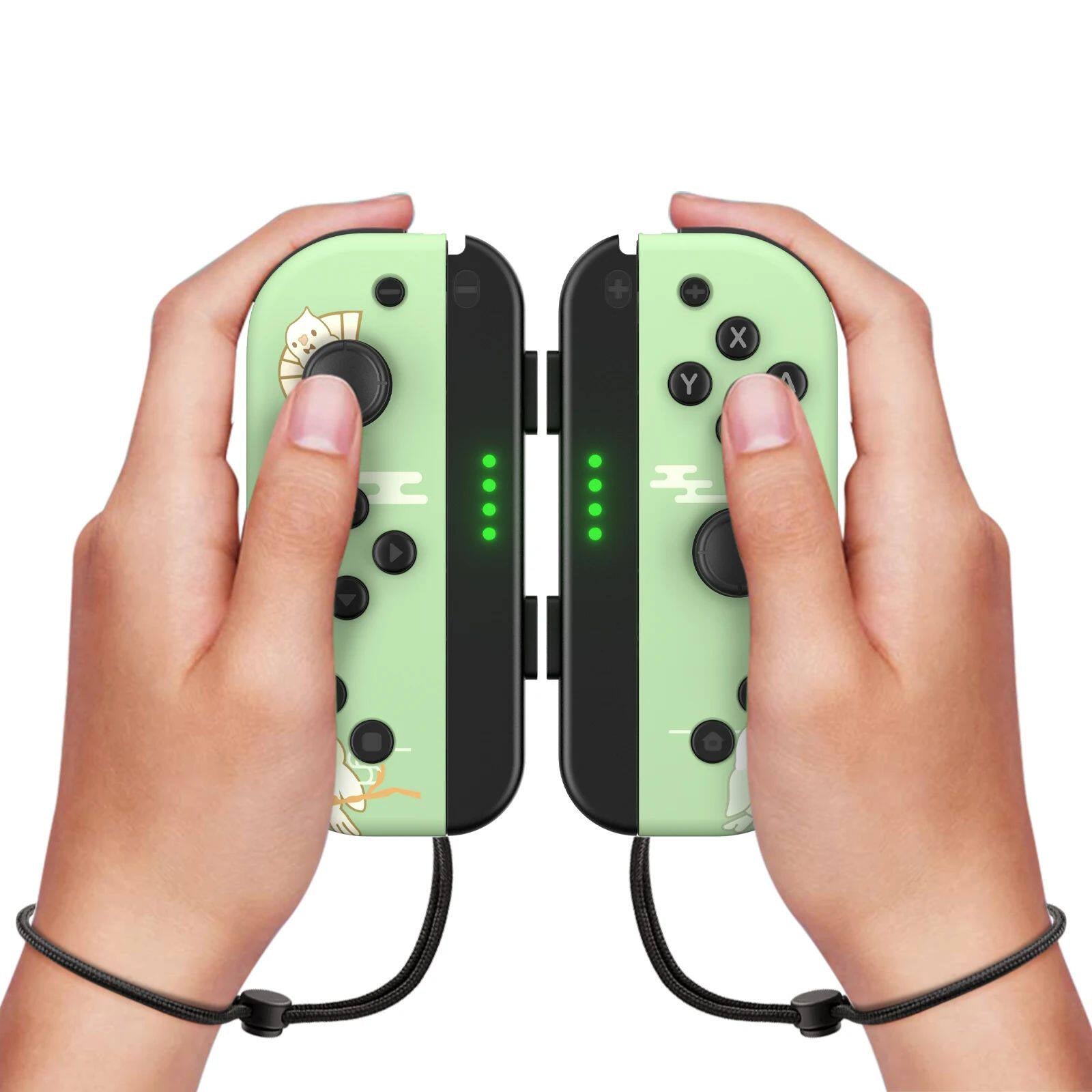 NS Dual Gamepad mit Handschlaufe