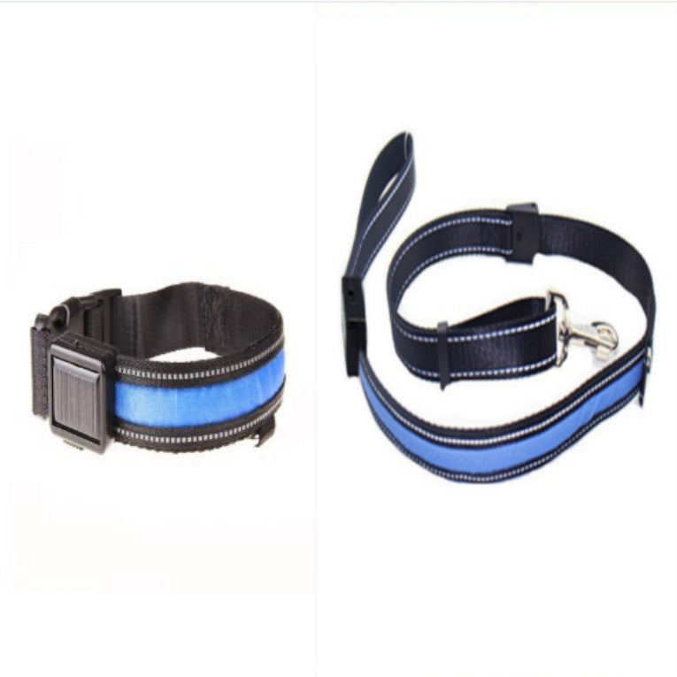 Leuchtendes Hundehalsband mit Solar- und USB-Ladefunktion – Bild 10 | LuxeStyle