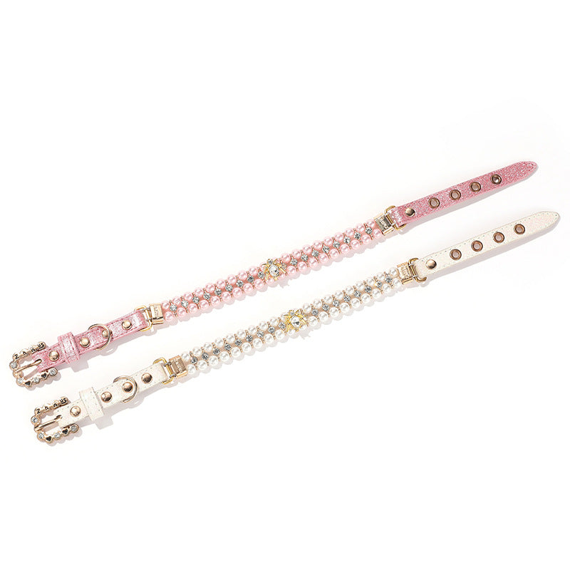 Halsband Käfer-Design für Katzen & kleine Hunde