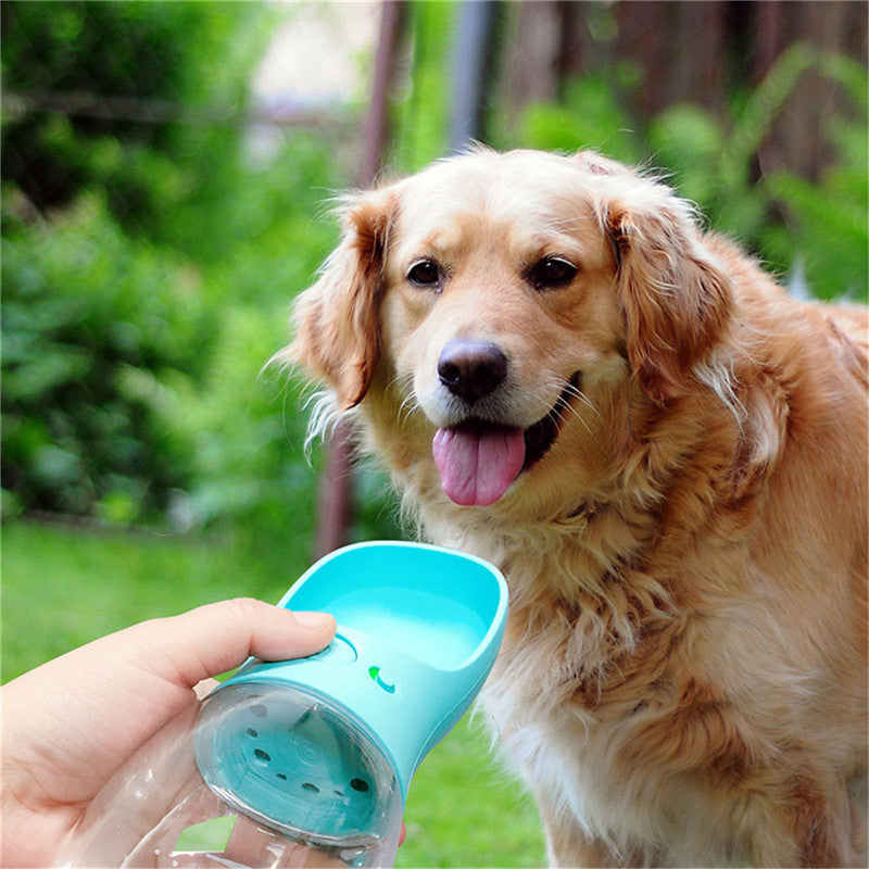 Portabler Outdoor-Hundewassernapf