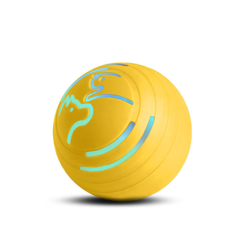 Elektrovibration-Ball für Hunde & Katzen, beißfest