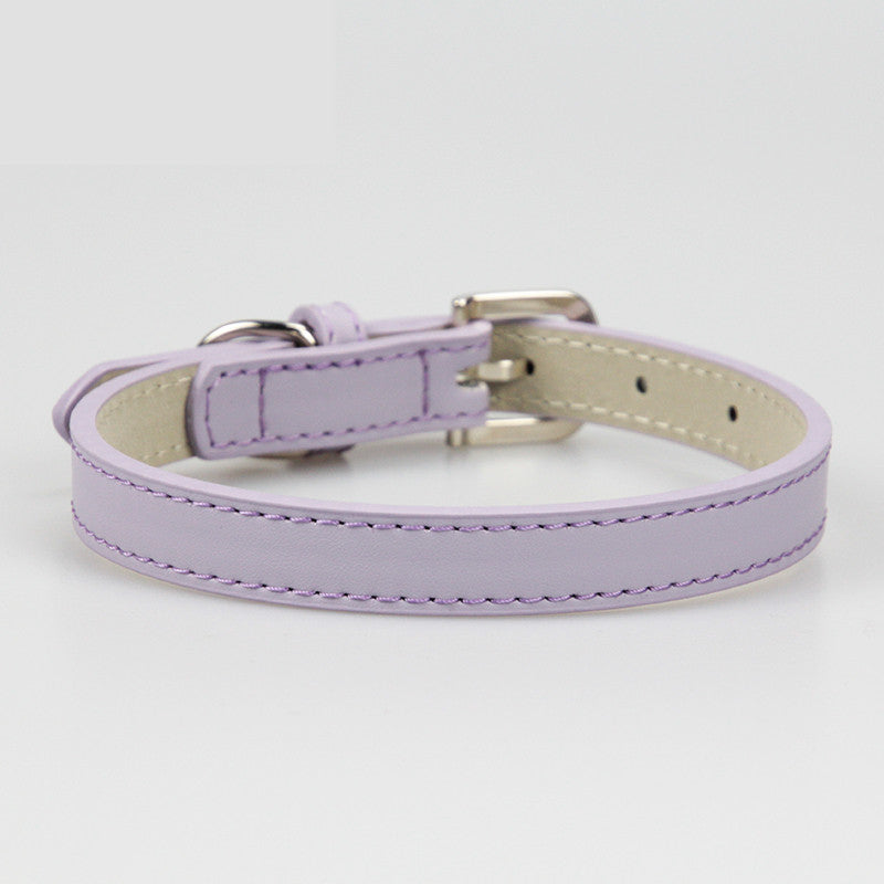 Leinenhalsband für kleine Hunde – Bild 5 | LuxeStyle