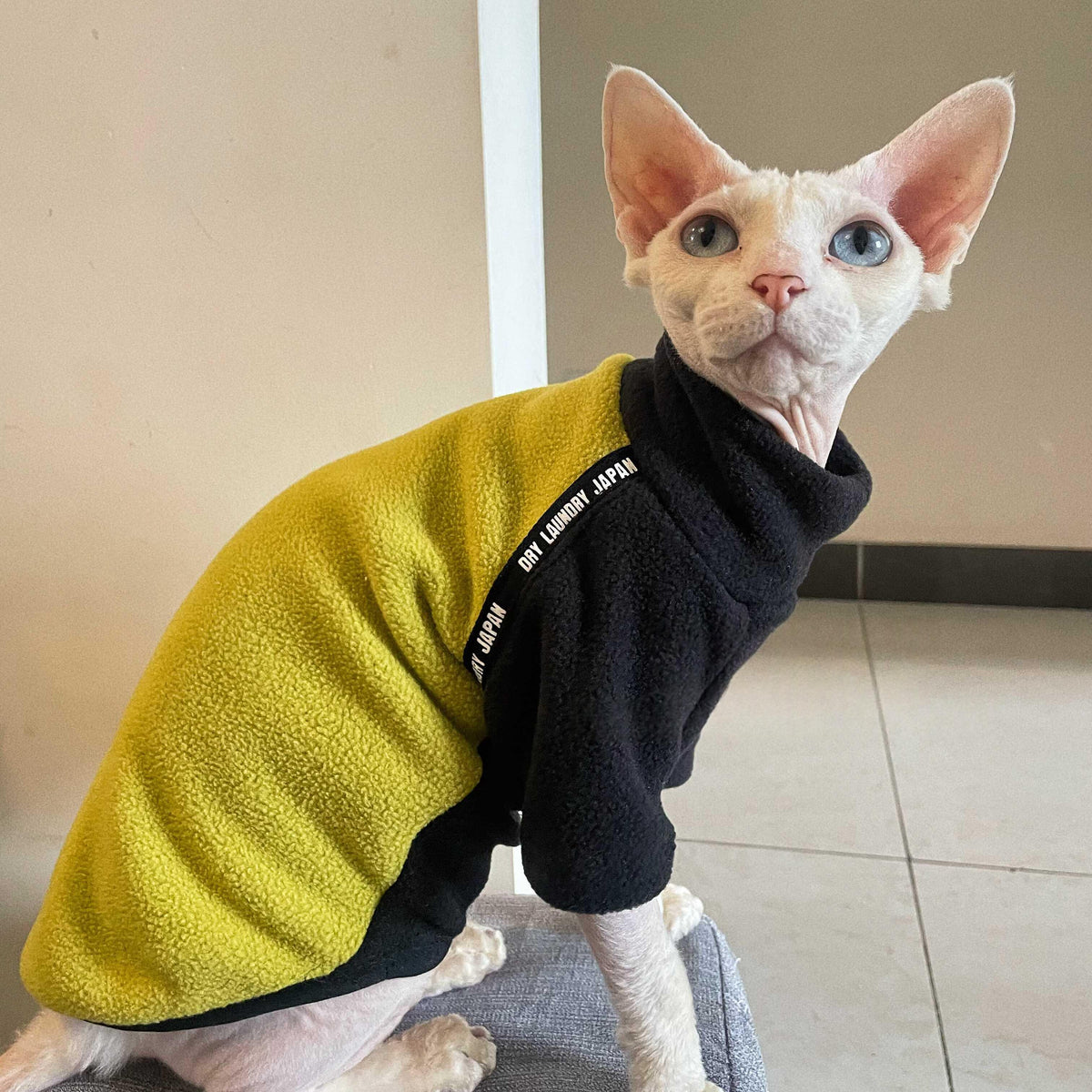 Dicker Polar-Fleece-Katzenpullover mit langen Ärmeln | LuxeStyle