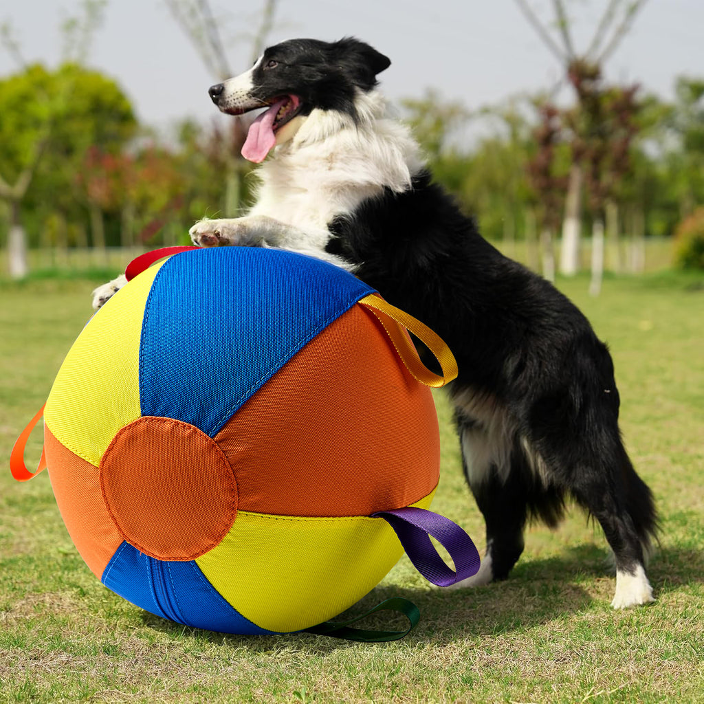 Golden Retriever Spielball-Set, kaubeständig