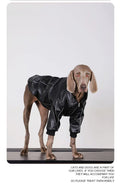 Lederjacke für mittelgrosse bis grosse Hunde