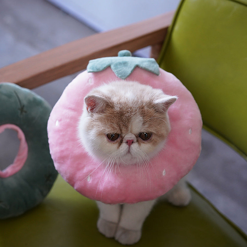 Kartun-Katzenhalsband | LuxeStyle