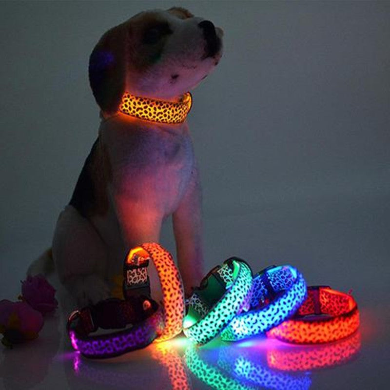 LED-Halsband für Hunde – Leopard-Muster