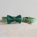 Halsband-Set mit Blumen für Hunde | LuxeStyle