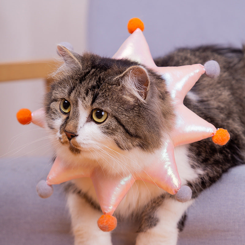 Schutzkragen für Hunde und Katzen – Bild 4 | LuxeStyle
