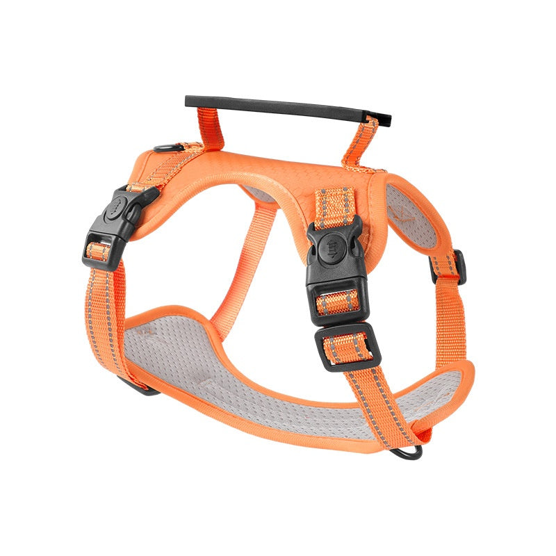 Hunde-Halsband mit Zugleinen
