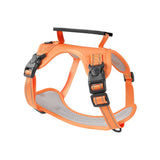 Farbe: Orange