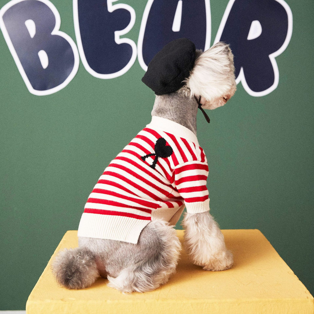 Gestreifter Hundepullover für kleine Hunde – Bild 6 | LuxeStyle