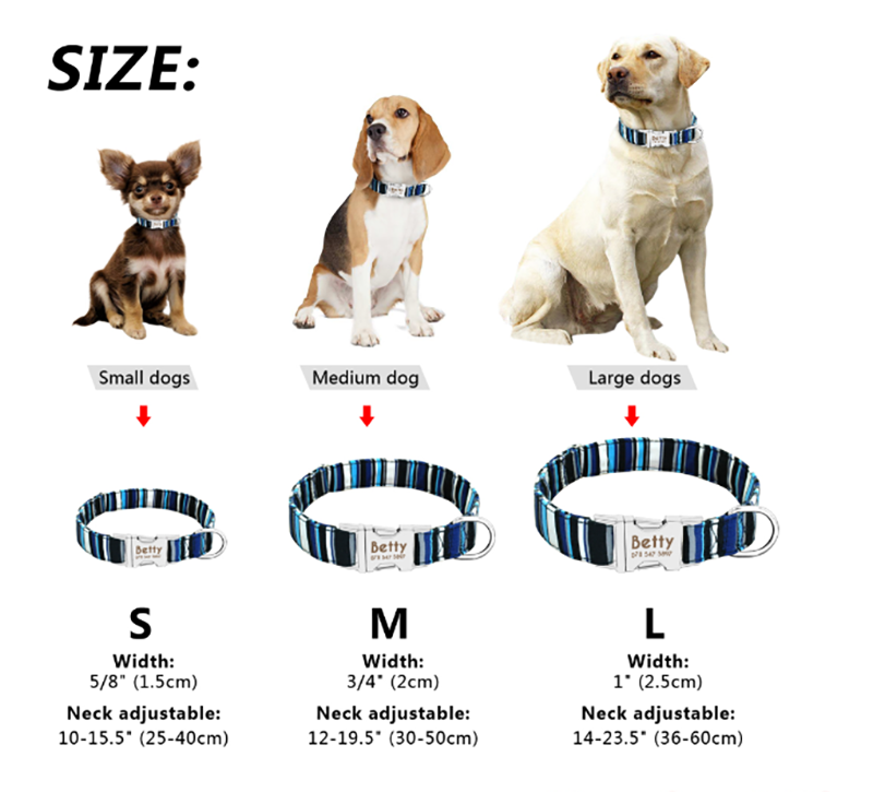 Reflektierendes Hundehalsband (verstellbar) – Bild 6 | LuxeStyle