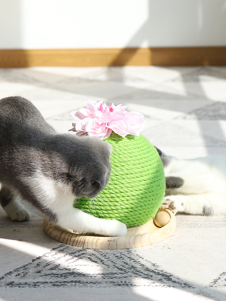Kaktus Katzen-Spielzeug mit Krallenpflege – Bild 6 | LuxeStyle