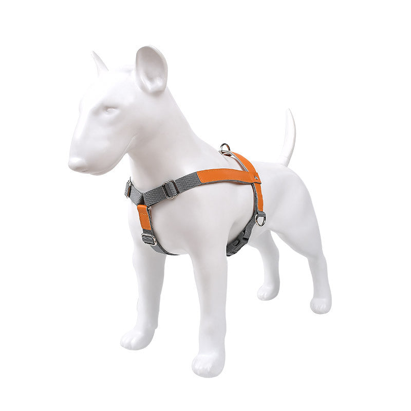 Hundegeschirr aus Leder mit Nylonleine – Bild 2 | LuxeStyle