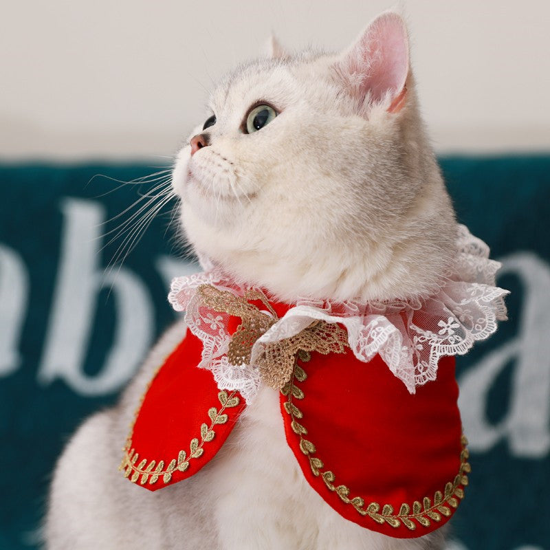 Katzen-Königsumhang mit Spitzenkragen – Bild 4 | LuxeStyle