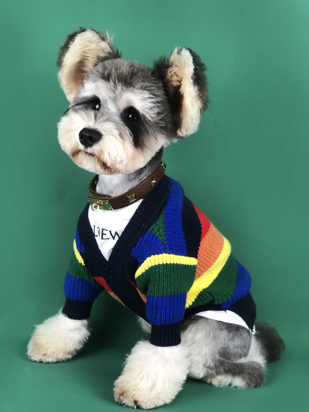 Hund Regenbogen Streifen Cardigan – Bild 4 | LuxeStyle