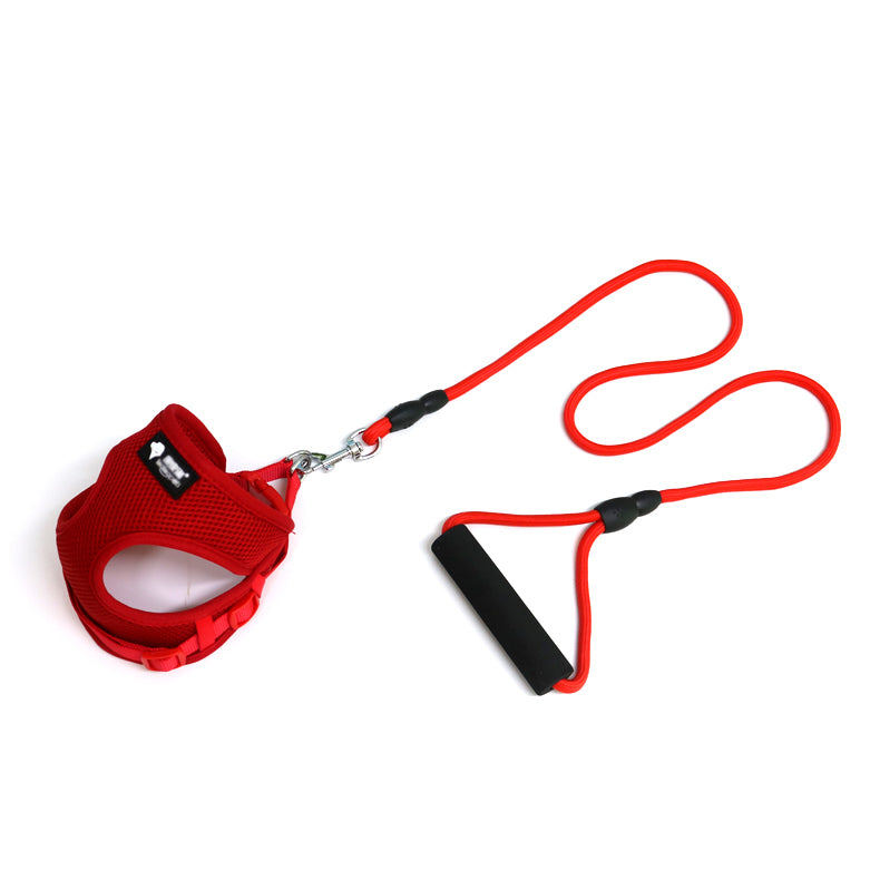 Hundeleine mit Halsband-Set