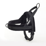 Farbe: Schwarz