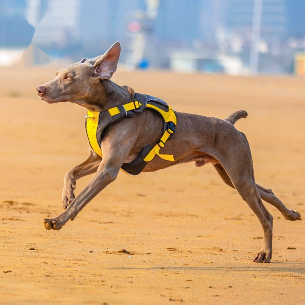 Hunde-Brustgeschirr im Weste-Stil – Bild 3 | LuxeStyle