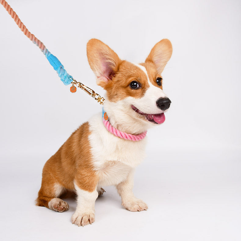 Cotton-Halsband für Hunde – Bild 4 | LuxeStyle