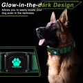 Verstellbarer Hundehalsband