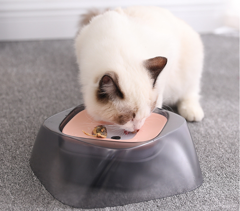 Schwimmender Trinknapf für Hunde und Katzen – Bild 3 | LuxeStyle