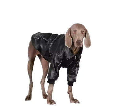 Lederjacke für mittelgrosse bis grosse Hunde