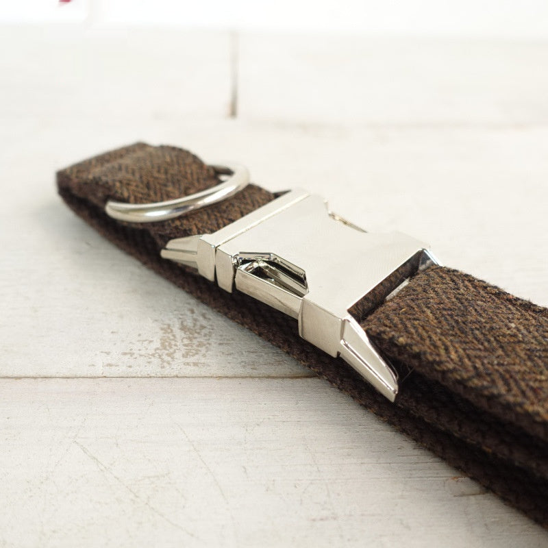 Hundehalsband mit Legierungsschnalle – Bild 1 | LuxeStyle