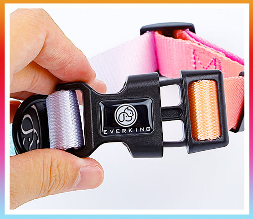 Hundehalsband und Leine für Samojeden – Bild 11 | LuxeStyle