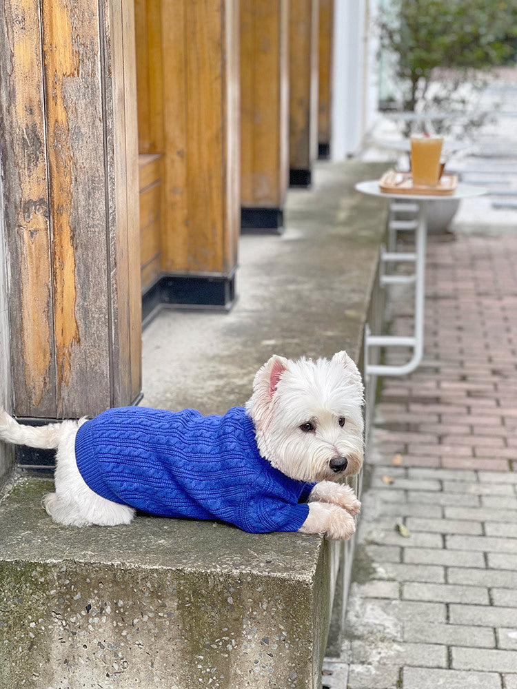 Bichon Corgi Winterpullover Blau – Bild 13 | LuxeStyle