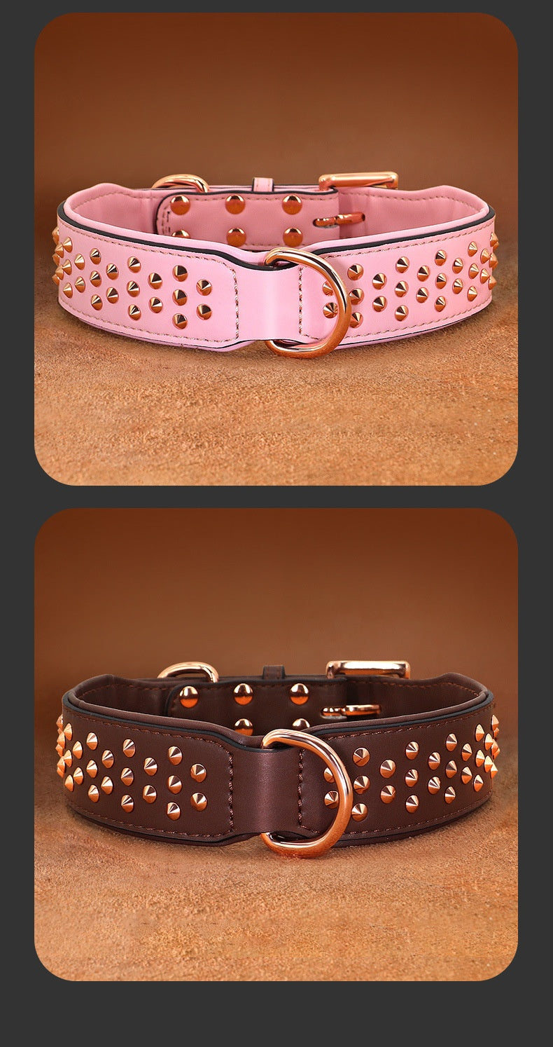 Hundehalsband – Bild 1 | LuxeStyle