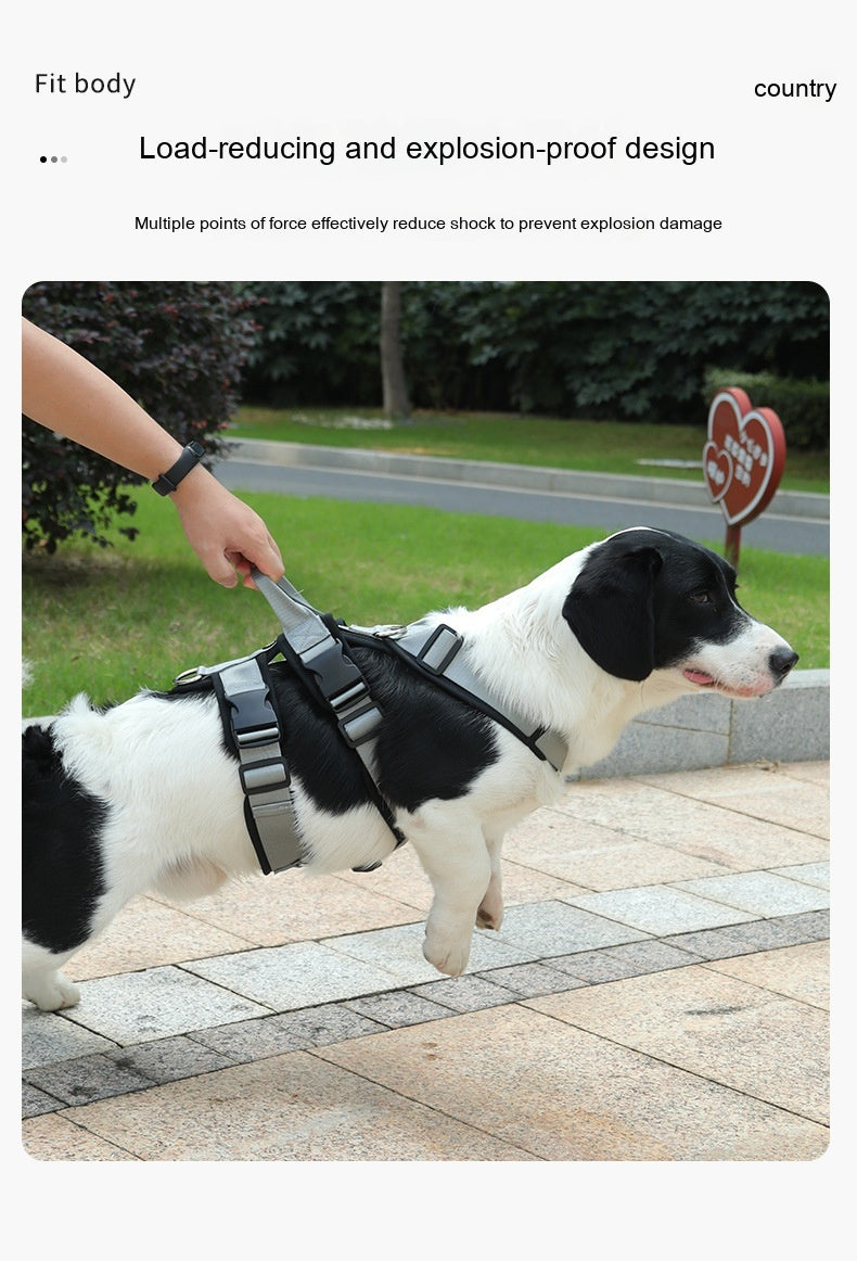 Corgi Spezial-Geschirr für Brust und Rücken – Bild 6 | LuxeStyle