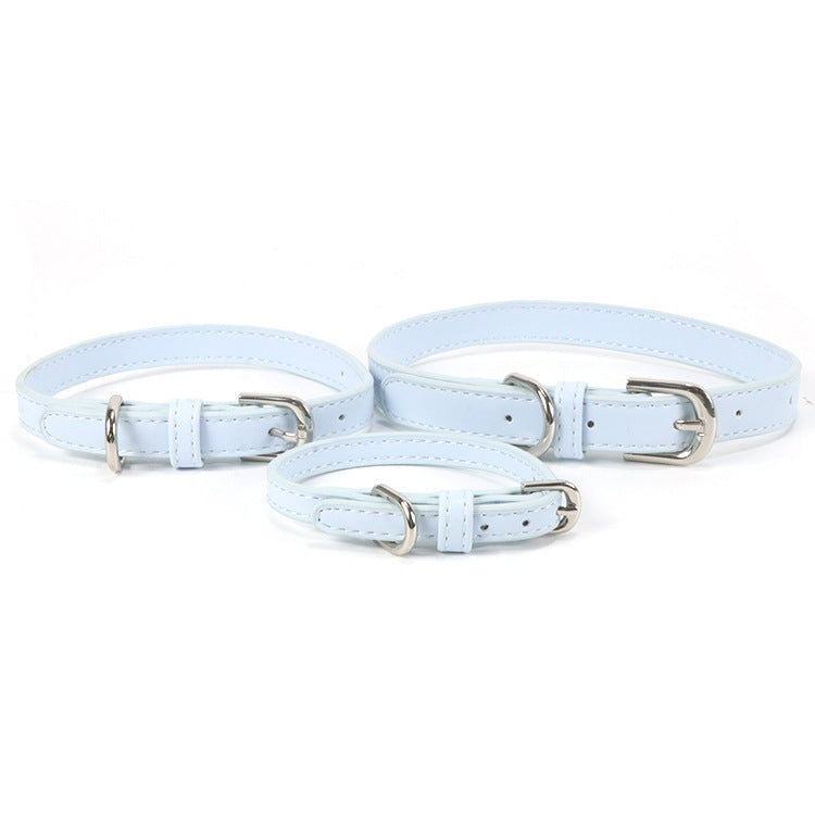 Halsband mit Zugseil für kleine bis mittelgrosse Hunde