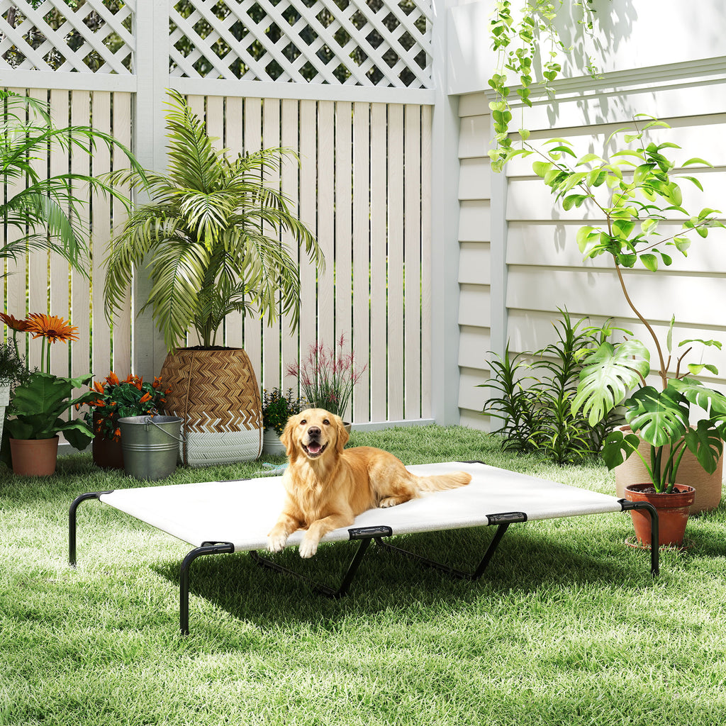 Erhöhtes Hundebett für grosse Hunde, Beige