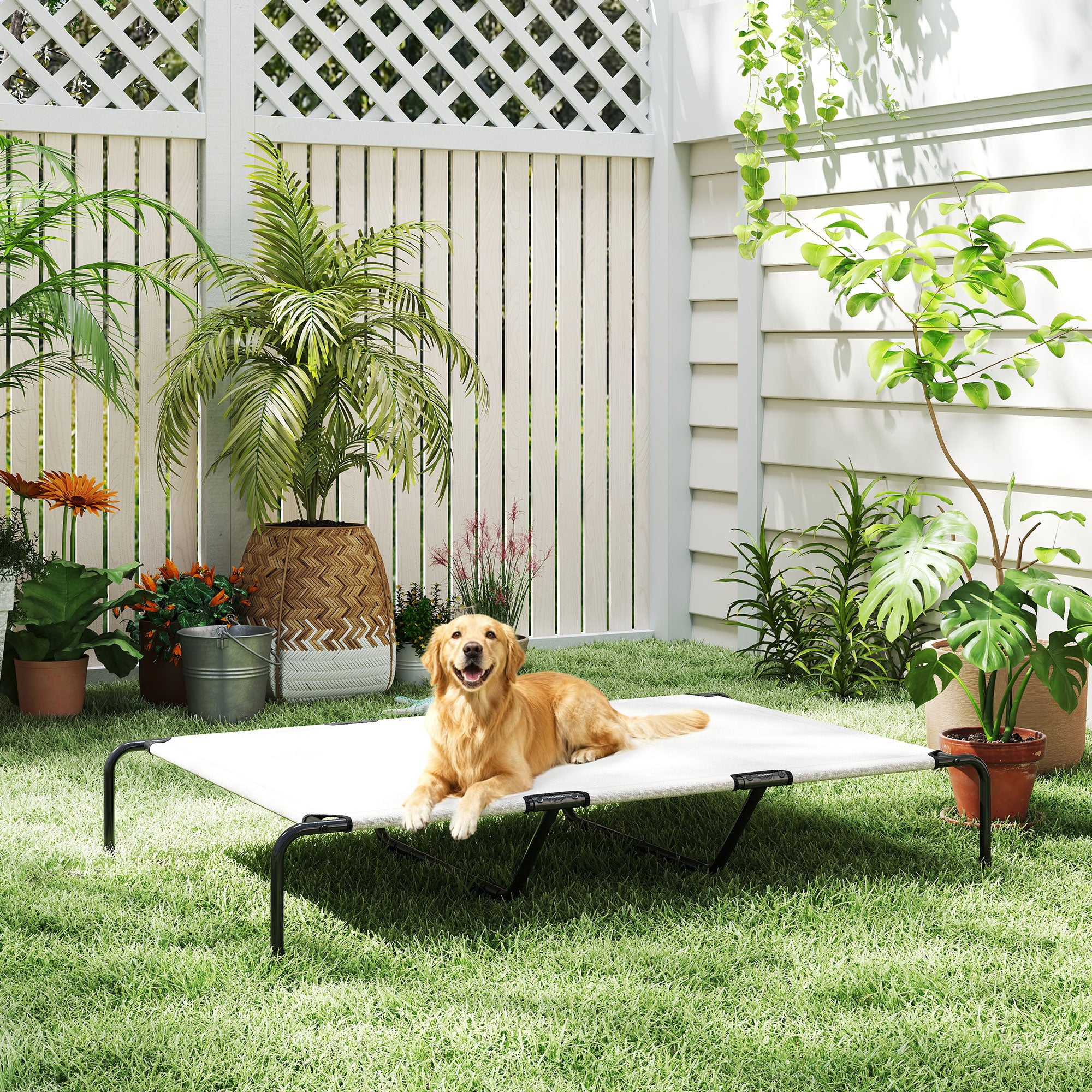 Erhöhtes Hundebett für grosse Hunde, Beige